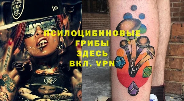 гидра Алексеевка