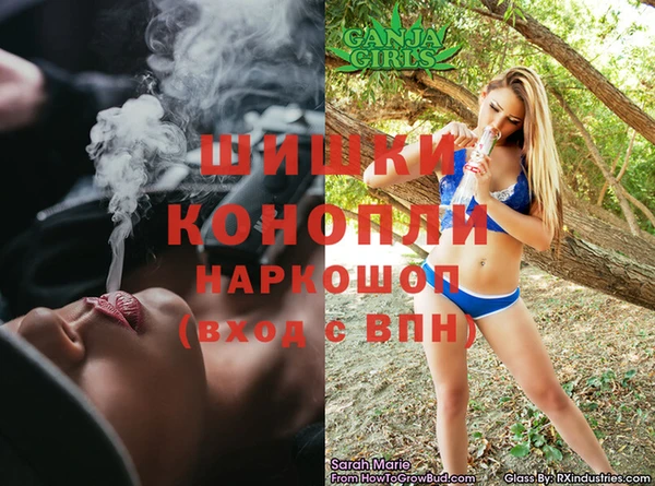 гидра Алексеевка