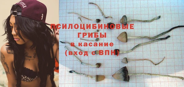 гидра Алексеевка